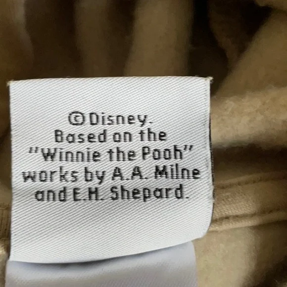 Disney Winnie the Pooh Hoodie - Picture 8 of 9